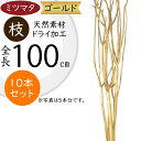 ミツマタ 三又 ドライフラワー ゴールド 金 おしゃれ 枝物 人気 三椏 天然素材 自然素材 ドライ素材 枝 枝もの ブランチ おすすめ インテリアグリーン 観...