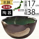 水鉢 大型 おしゃれ 人気 おすすめ 信楽焼 陶器製 器 鉢 国産品 日本製 ビオトープ ハイドロカルチャー 水生植物 花 緑 園芸 観葉植物 睡蓮鉢 スイレン...