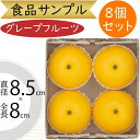 食品サンプル グレープフルーツ リアル 人気 フェイクフード 果物 フルーツ 造花 おすすめ 好評 フラワーアレンジメント ディスプレイ テーブルコーディネート...