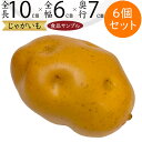 食品サンプル じゃがいも 人気 リアル ジャガイモ ポテト 芋 フェイクフード 野菜 ベジタブル サラダ 果物 造花 おすすめ アレンジメント ディスプレイ テ...