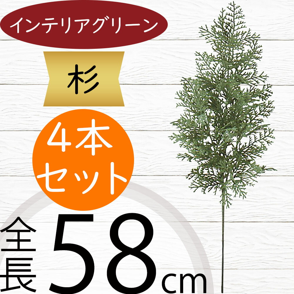  ե꡼  ͵ ꥢ  ƥꥢ꡼ ͹տʪ ͹ ֥ ¤ ȥץ ȥ꡼ տʪ ...