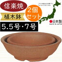 植木鉢 おしゃれ 人気 おすすめ プランター 信楽焼 国産品 日本製 陶器製 和風 モダン インテリア 焼き物 器 ポット 寄せ植え 観葉鉢 陶器鉢 園芸 ガーデニング 観葉植物 インテリアグリーン 花 緑 草 苔玉 浅鉢 お洒落 ギフト 贈り物 高品質 焼締浅丸 2個セット 5.5号 7号