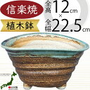 植木鉢 おしゃれ 人気 おすすめ プランター 信楽焼 国産品 日本製 陶器製 和風 モダン インテリア 焼き物 器 ポット 寄せ植え 観葉鉢 陶器鉢 園芸 ガーデニング 観葉植物 インテリアグリーン 花 緑 苔玉 しがらきやき お洒落 ギフト 贈り物 高品質 上質 南蛮楕円足付 7.5号