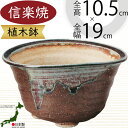 植木鉢 おしゃれ 人気 おすすめ プランター 信楽焼 国産品 日本製 陶器製 和風 モダン インテリア 焼き物 器 ポット 寄せ植え 観葉鉢 陶器鉢 園芸 ガーデニング 観葉植物 インテリアグリーン 花 緑 苔玉 しがらきやき お洒落 ギフト 贈り物 高品質 上質 南蛮楕円足付 6号