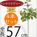フェイクグリーン ホヤ おしゃれ 人気 インテリアグリーン リアル 造花 人工観葉植物 花材 観葉植物 アートプランツ フラワーアレンジメント ディスプレイ 装...