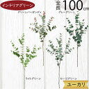 ユーカリ フェイクグリーン 大型 おしゃれ インテリアグリーン 人気 リアル 観葉植物 造花 アートプランツ 人工観葉植物 アートグリーン 樹木 ユーカリの木 ...