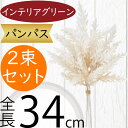 パンパス 造花 インテリアグリーン フェイクグリーン おしゃれ 人気 リアル 人工観葉植物 インテリア オブジェ 雑貨 家具 花材 葉材 枝もの 枝物 お洒落 ...