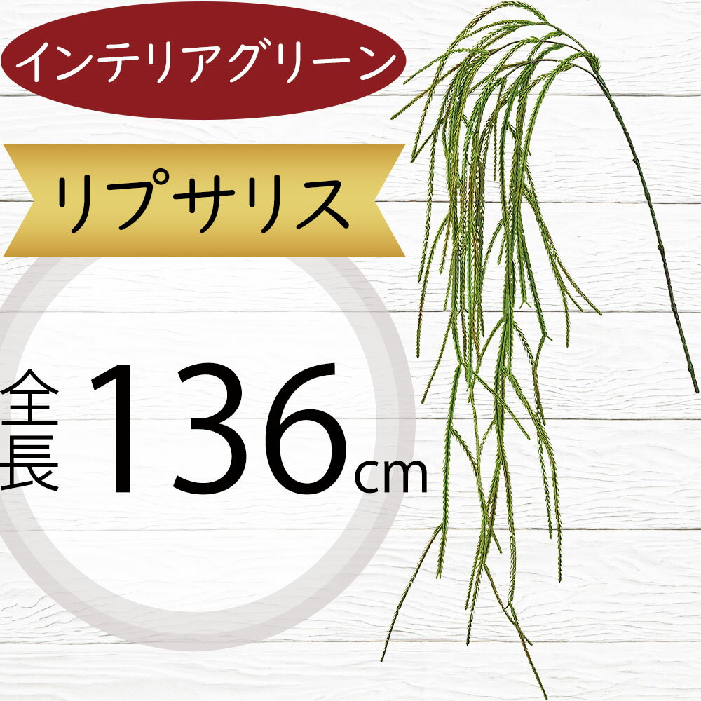 多肉植物 リプサリス フェイクグリーン 大型 おしゃれ インテリアグリーン 人気 リアル アートプランツ..