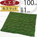 人工芝 人気 おすすめ おしゃれ 人工芝生 モス 苔 こけ コケ moss 大型 特大 リアル マット DIY フェイクグリーン 人工観葉植物 インテリアグリーン アートグリーン 造花 フラワーアレンジメント 和風 庭園 日本イメージ 壁面 天井 廊下 ディスプレイ 水やり不要 diy 口100cm