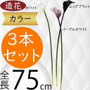 カラー 造花 おしゃれ 人気 カラーリリー リアル フェイクグリーン インテリアグリーン 人工観葉植物 アーティフィシャルフラワー フラワーアレンジメント ディスプレイ 装飾 ギフト プレゼント インテリア 大型 雑貨 オブジェ お洒落 一輪挿し 高品質 全長75cm 3本セット