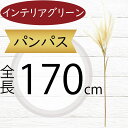 パンパス 造花 大型 インテリアグリーン フェイクグリーン おしゃれ 人気 リアル 人工観葉植物 インテリア オブジェ 雑貨 家具 花材 葉材 枝もの 枝物 お...