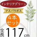 アスパラガス フェイクグリーン 大型 おしゃれ インテリアグリーン 人気 リアル 人工観葉植物 アートプランツ 造花 花材 葉 観葉植物 アートグリーン 人工樹木 インテリア オブジェ 家具 フラワーアレンジメント ディスプレイ 装飾 お洒落 ナチュラル 全長117cm 4本セット