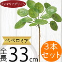 フェイクグリーン ペペロミア おしゃれ 人気 インテリアグリーン リアル 造花 人工観葉植物 花材 観葉植物 アートプランツ フラワーアレンジメント ディスプレ...