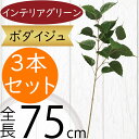 フェイクグリーン 菩提樹 おしゃれ 人気 インテリアグリーン リアル 造花 人工観葉植物 花材 観葉植物 アートプランツ フラワーアレンジメント ディスプレイ 装飾 雑貨 家具 枝もの 枝物 一輪挿し 高品質 オブジェ お洒落 大きい 大きめ インドボダイジュ 全長75cm 3本セット