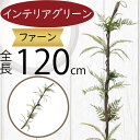 フェイクグリーン 大型 おしゃれ 人気 インテリアグリーン リアル 人工観葉植物 人工樹木 アートプランツ オブジェ 造花 アートグリーン フラワーアレンジメン...