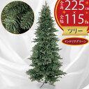 クリスマスツリー 大型 おしゃれ 人気 フェイクグリーン インテリアグリーン 人工観葉植物 観葉植物 造花 人工樹木 リアル インテリア 家具 置物 雑貨 オブ...