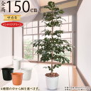フェイクグリーン 大型 人気 リアル サカキ 榊 インテリアグリーン おしゃれ 観葉植物 人工観葉植物 インドアグリーン 人工樹木 造花 アートグリーン インテ...