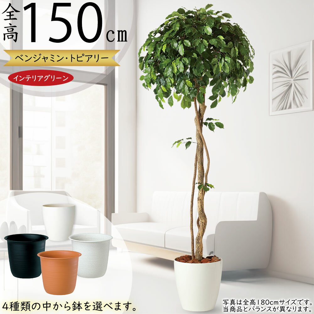 楽天市場】造花 木 枝(人工観葉植物|造花・人工観葉植物):花 楽天市場】造花 木 枝(人工観葉植物|造花・人工観葉植物):花