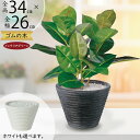 フェイクグリーン ゴムの木 おしゃれ 人気 リアル インテリアグリーン インテリア 家具 人工観葉植物 人工樹木 観葉植物 室内 フロア 卓上 テーブルサイズ ...