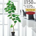 ウンベラータ フェイクグリーン 大型 おしゃれ 観葉植物 リアル 人気 インテリアグリーン おすすめ 人工観葉植物 人工樹木 造花 アートグリーン インテリア ...