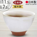 植木鉢 おしゃれ 人気 おすすめ プランター 小型 小さい 小さめ 信楽焼 国産品 日本製 陶器製 和風 インテリア 焼き物 器 ポット 寄せ植え 園芸 ミニ観...