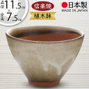 植木鉢 おしゃれ 人気 おすすめ プランター 小型 小さい 小さめ 信楽焼 国産品 日本製 陶器製 和風 インテリア 焼き物 器 ポット 寄せ植え 園芸 ミニ観...