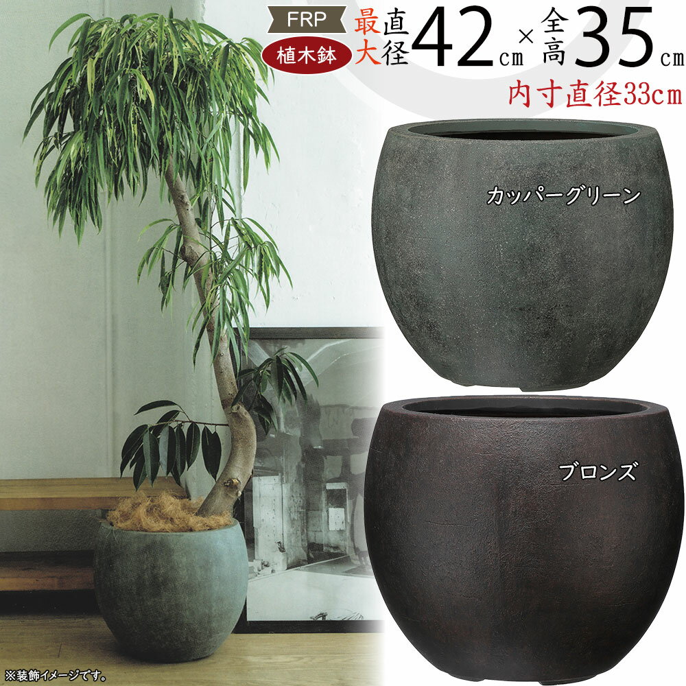 植木鉢 大型 おしゃれ 人気 プラン