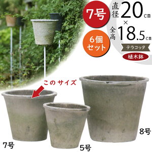 テラコッタ 植木鉢 おしゃれ 人気 プランター おすすめ 観葉植物 素焼き 園芸鉢 観葉鉢 陶器鉢 クラフトポット ガーデニング 花 園芸用品 寄せ植え インテリア 雑貨 鉢カバー お庭 アンティークホワイト お洒落 アンティーク塗装 野焼き モスポット アザレア 7号 6個セット