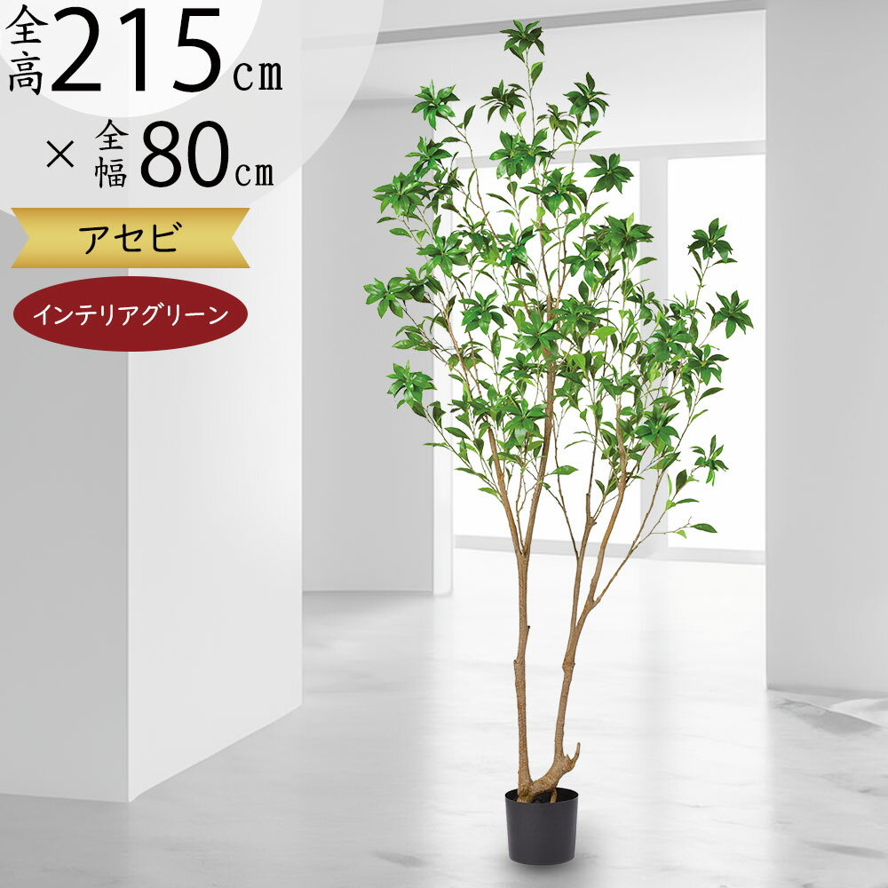 アートグリーン フェイクグリーン 人工観葉植物 光触媒 光の楽園 ユ―カリ3．2　組立式 2122A5000