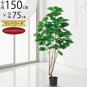 フェイクグリーン ウンベラータ 大型 おしゃれ 観葉植物 リアル 人気 おすすめ 人工観葉植物 人工樹木 造花 インテリアグリーン アートグリーン インテリア ...