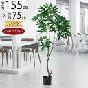 パキラ フェイクグリーン 大型 観葉植物 人気 おしゃれ インテリアグリーン リアル おすすめ インテリア 造花 人工観葉植物 人工樹木 アートグリーン アート...