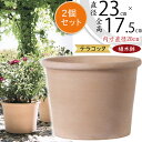 植木鉢 テラコッタ おしゃれ 人気 プランター おすすめ 8号 園芸鉢 陶器鉢 観葉鉢 素焼き 陶器製 ポット 器 ガーデニング 園芸 寄せ植え ガーデニング 鉢植え 観葉植物 花 緑 リーズナブル イタリア製 お洒落 イタリアンテラコッタ シリンドロ ボルダード ホワイト 2個セット