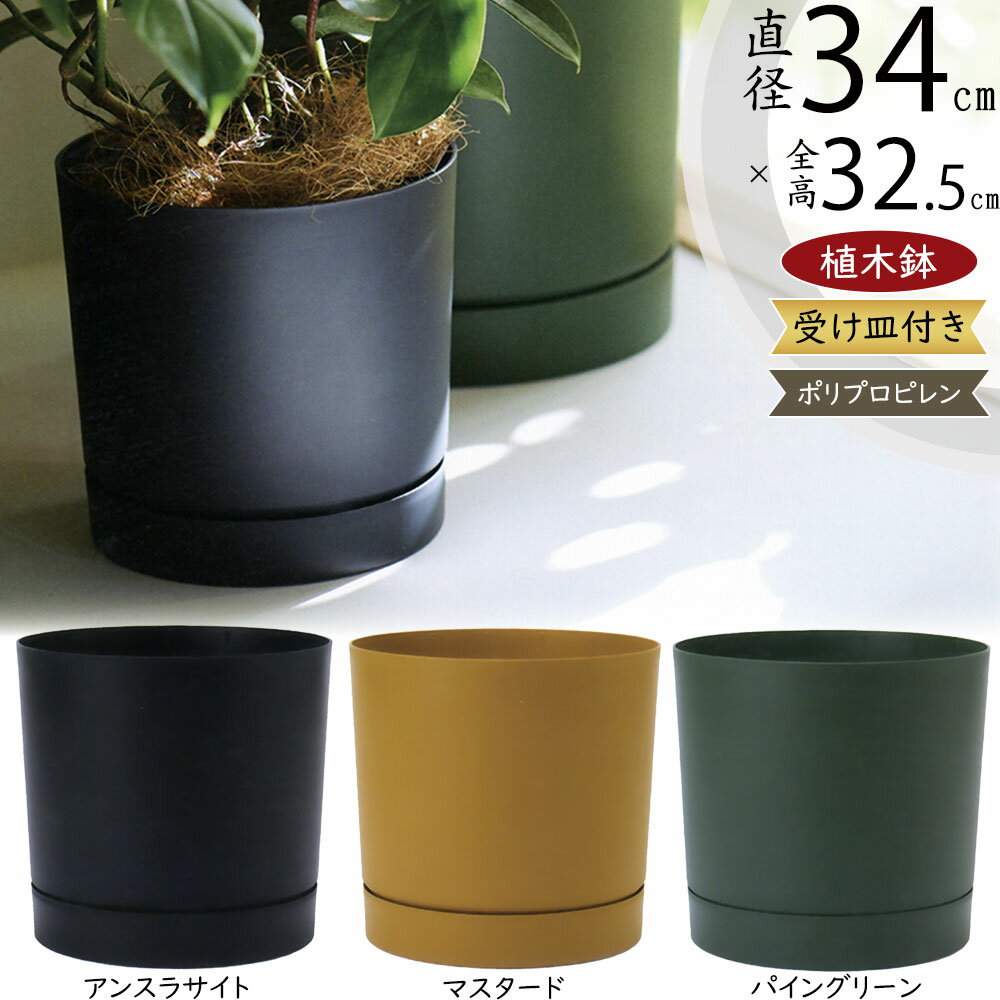 楽天市場】植木鉢 11号 大型の通販 楽天市場】植木鉢 11号 大型の通販