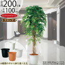 アカシア フェイクグリーン 大型 インテリアグリーン 人気 おしゃれ リアル 人工観葉植物 人工樹木 アートプランツ アートグリーン インドアグリーン 観葉植物...