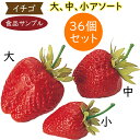 楽天グリーンランド【食品サンプル】いちご イチゴ 苺 ストロベリー リアル フェイクフード 造花 アソート 36個セット 1箱18個×2箱 人気 おすすめ アレンジ ディスプレイ テーブルコーディネート 会場装飾 食品模型 陳列 店内 飲食店 メニューサンプル 小物 雑貨 インテリア 本物そっくり