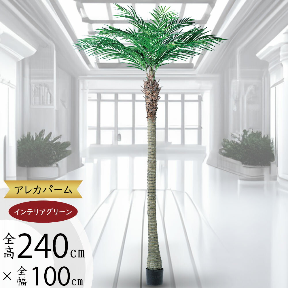 楽天市場】フェニックス ロベレニー(人工観葉植物|造花・人工 楽天市場】フェニックス ロベレニー(人工観葉植物|造花・人工