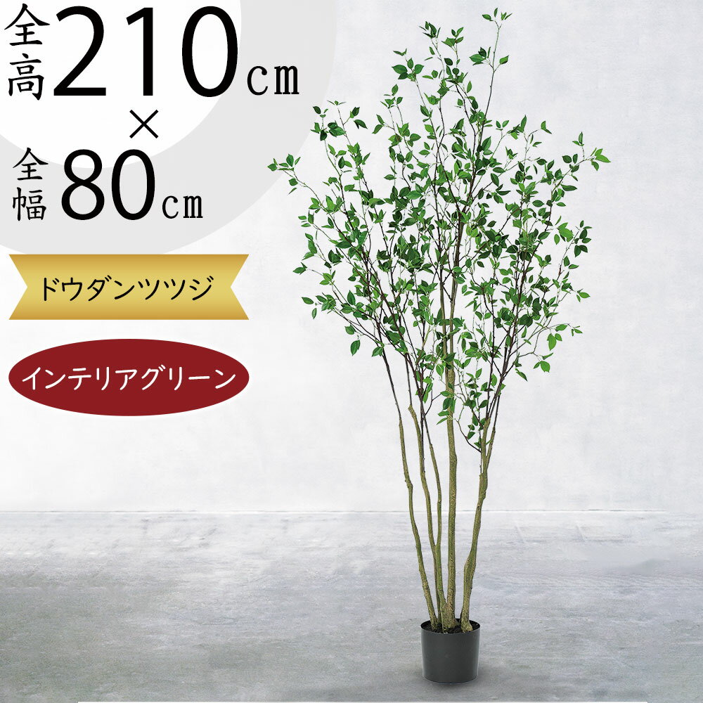 ドウダンツツジ（人工観葉植物/造花/人工樹木/フェイクグリーン/オブジェ/インテリアグリーン/インテリア/アートグリーン） サイズ：全高210cm×幅80cm 鉢のサイズ：全高16cm×直径20cm 材質：ポリエステル、ポリエチレン製 色：グリーン ・サイズは多少前後する場合がございます。 ・画面上の色はブラウザや設定により、実物は異なる場合があります。商品について 青々とした葉色とすっきりとした枝ぶりでナチュラルな緑化空間をお楽しみいただけるドウダンツツジのフェイクグリーンです。庭木や公園樹として親しまれているドウダンツツジをリアルに再現しています。個人宅をはじめ、オフィス、店舗、商業・公共施設、ホテル、エントランスなどの幅広いシーンでお使いいただけるクオリティの 高い仕上がりとなっております。 フェイクグリーンとは 枯れない、水やり・メンテナンス不要の人工素材で作られた植物（樹木）です。