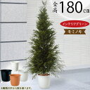 モミの木 大型 おしゃれ 人気 フェイクグリーン インテリアグリーン リアル 人工観葉植物 人工樹木 観葉植物 造花 アートグリーン アートプランツ クリスマス...