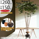 フェイクグリーン 大型 おしゃれ 人気 インテリアグリーン リアル 観葉植物 人工観葉植物 造花 樹木 ベンジャミン フィカス ベンジャミナ 緑 特大 超大型 ...