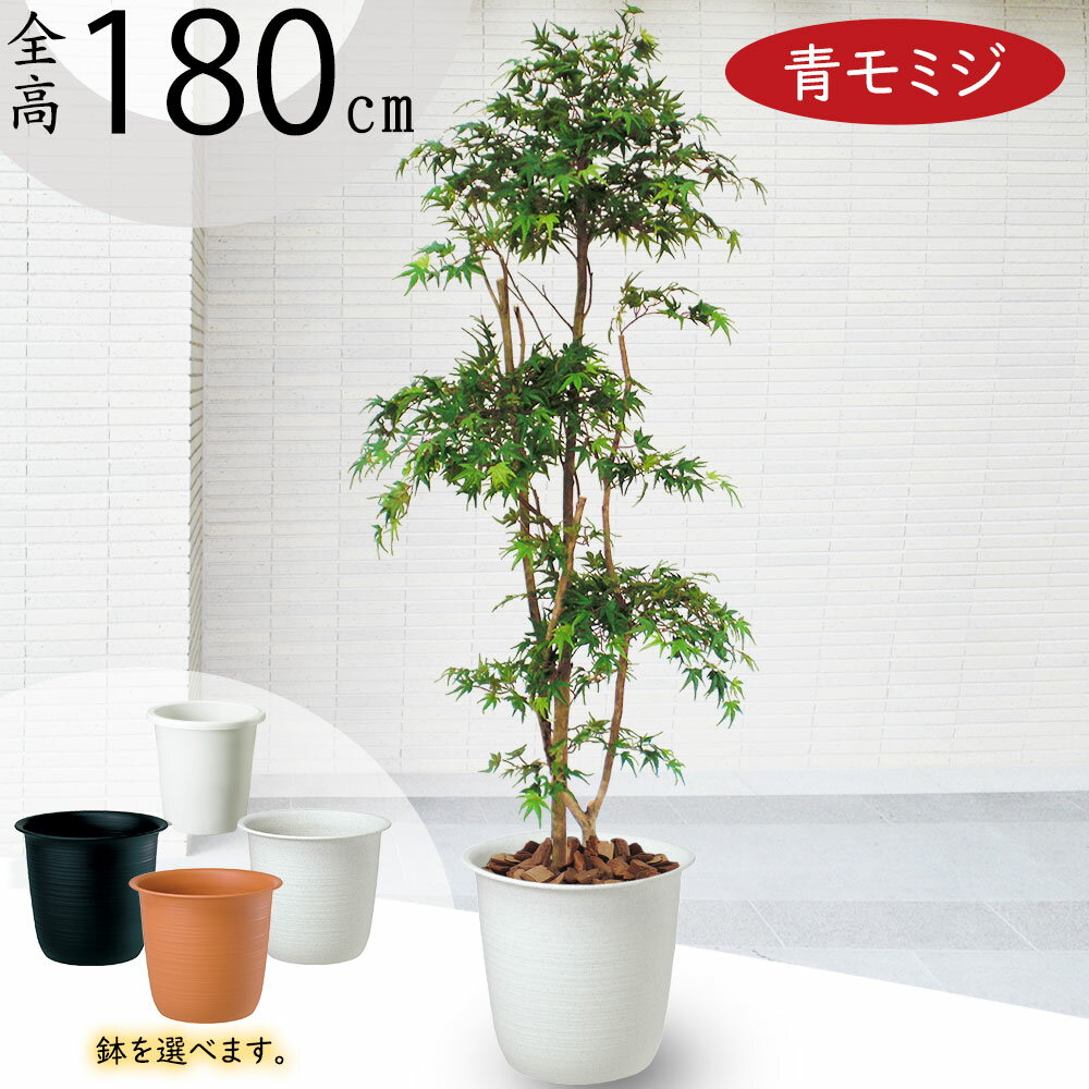 【フェイクグリーン】観葉植物 おしゃれ 大型 全高1.8m インテリア 人工観葉植物 人工樹木 造花 アートグリーン もみじ 青モミジ カエデ モミジ 山もみじ 紅葉 植物 リアル 人気 おすすめ 高品質 室内 屋内 フロア 空間デザイン オブジェ 新築祝い 引越し祝い 開店祝い 贈答 1