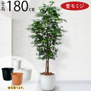 もみじ モミジ フェイクグリーン 大型 おしゃれ 人気 リアル インテリアグリーン 人工観葉植物 人工樹木 観葉植物 造花 アートグリーン アートプランツ イン...