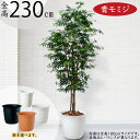 もみじ モミジ フェイクグリーン 大型 おしゃれ 人気 リアル インテリアグリーン 人工観葉植物 人工樹木 観葉植物 造花 アートグリーン アートプランツ イン...