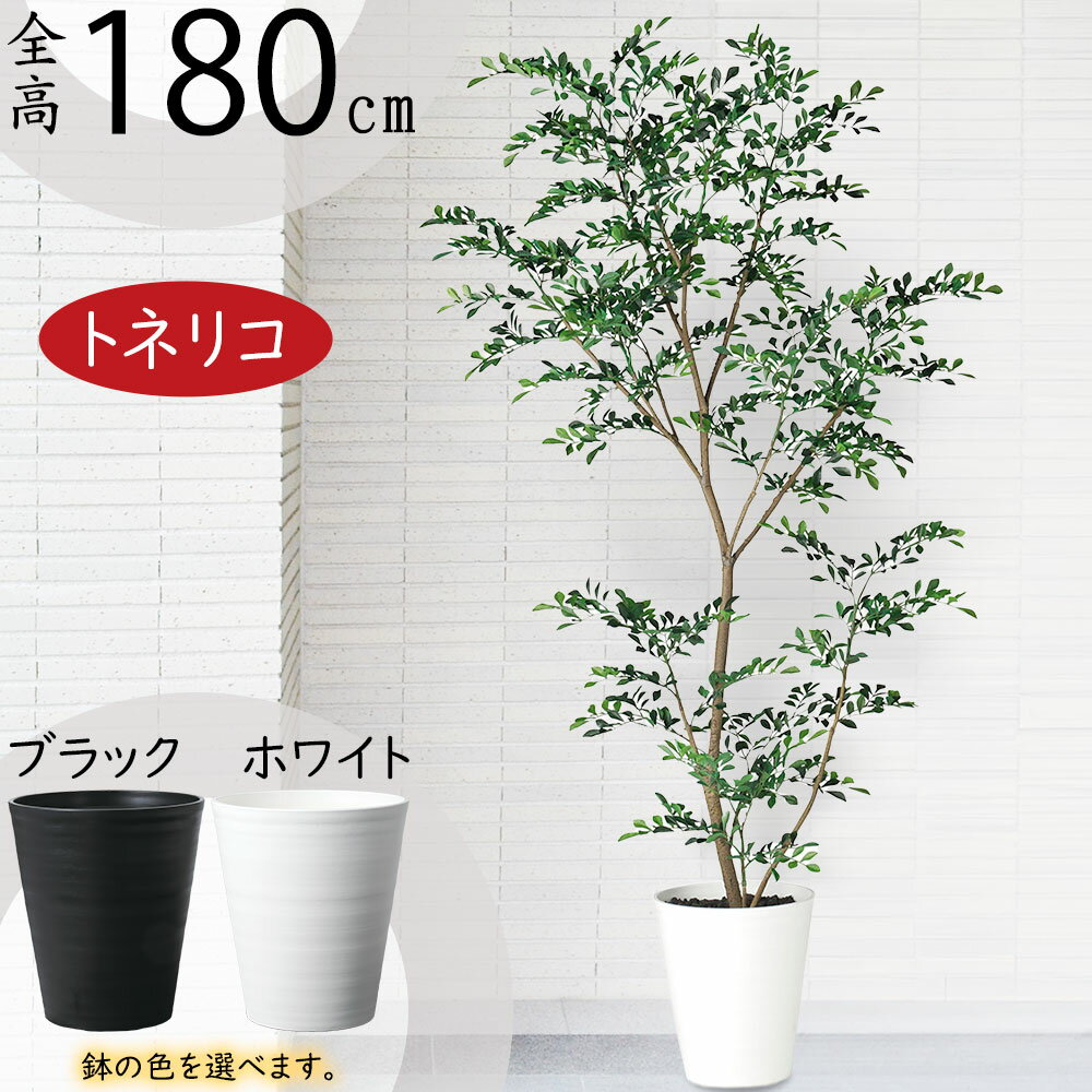 フェイクグリーン 観葉植物 フェイク 人工観葉植物 卓上 ミニ 小さい 光触媒 レインボーテルミナリス 55cm 人工造花 光触媒 CT触媒 インテリア カジュアルポット 鉢付