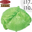 食品サンプル キャベツ 人気 きゃべつ 甘藍 玉菜 リアル フェイクフード 野菜 ベジタブル サラダ 果物 造花 おすすめ アレンジ ディスプレイ テーブルコー...