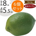 食品サンプル ライム 人気 リアル 柑橘 フェイクフード 野菜 果物 果実 ベジタブル 造花 おすすめ アレンジ ディスプレイ テーブルコーディネート 装飾 食...