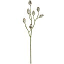 【フェイクグリーン】観葉植物 おしゃれ インテリアグリーン フェイク 造花 ユーカリベルギーナッツ 50cm 3本セット