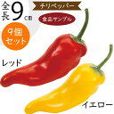 食品サンプル 唐辛子 人気 とうがらし チリペッパー リアル フェイクフード 野菜 ベジタブル サラダ 果物 造花 おすすめ ディスプレイ スーパー 装飾 食品...