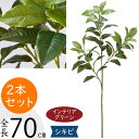 【フェイクグリーン】おしゃれ 観葉植物 シキビ 全長70cm 2本セット 人気 おすすめ インテリアグリーン 草 葉っぱ 造花 アーティフィシャルフラワー 花材...