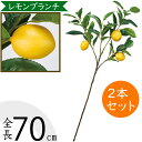 食品サンプル レモン 人気 造花 檸檬 れもん リアル フェイクフード フェイクグリーン インテリアグリーン 人工観葉植物 野菜 果物 果実 ベジタブル おすす...