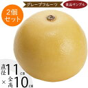 食品サンプル グレープフルーツ 人気 リアル フェイクフード 果物 フルーツ 造花 おすすめ 好評 フラワーアレンジメント ディスプレイ テーブルコーディネート...